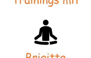 500-brigitte