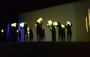 x311
