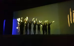x313