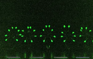 8-TVS_100_Jahre__1077_2025