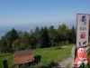 Neues Bild (25)