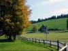 Neues Bild (8)